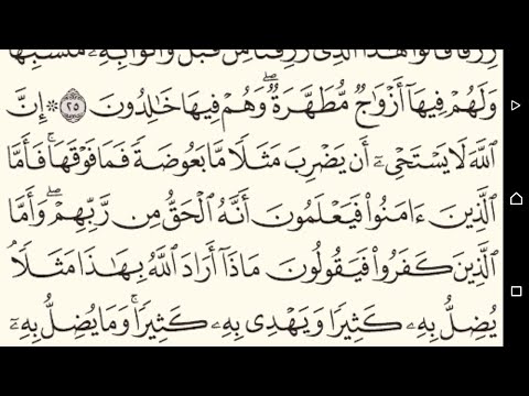 ربع ان الله لا يستحى ان يضرب مثلا ما بعوضة سورة البقرةمكتوبةبصوت الشيخ ياسر الدوسري منوعات اسلامية