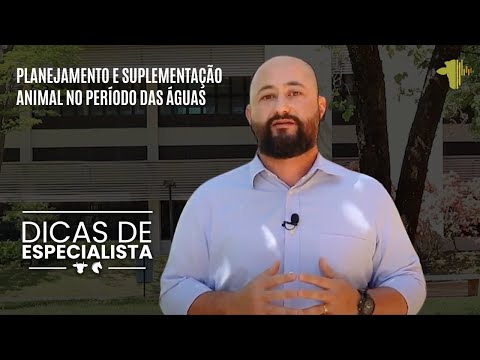 PLANEJAMENTO E SUPLEMENTAÇÃO ANIMAL NO PERÍODO DAS ÁGUAS | DICAS DE ESPECIALISTA