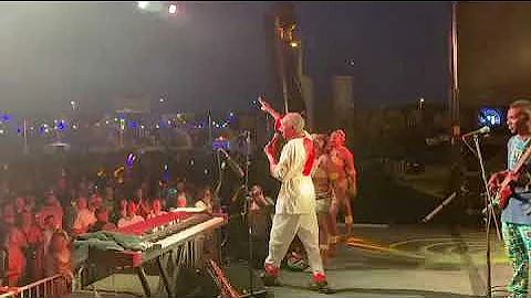 Femi Kuti on Tour in USA