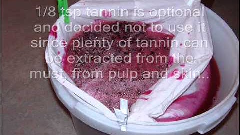 My home made Blackcurrant wine pt 1