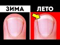 41 факт о нашем теле, удививший даже моего учителя биологии