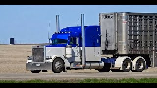 Trucks Spotting on Hwy 7 SK | Peterbilt 379 | 389 | W900