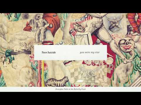 Παρακολούθηση Teen Suicide - “you were my star” (Official Audio) στο YouTube