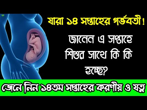 ভিডিও: 14 সপ্তাহে আপনার শিশুর কি করা উচিত?