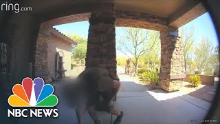 Doorbell Video Shows UPS Driver Collapse In Extreme Arizona Heat