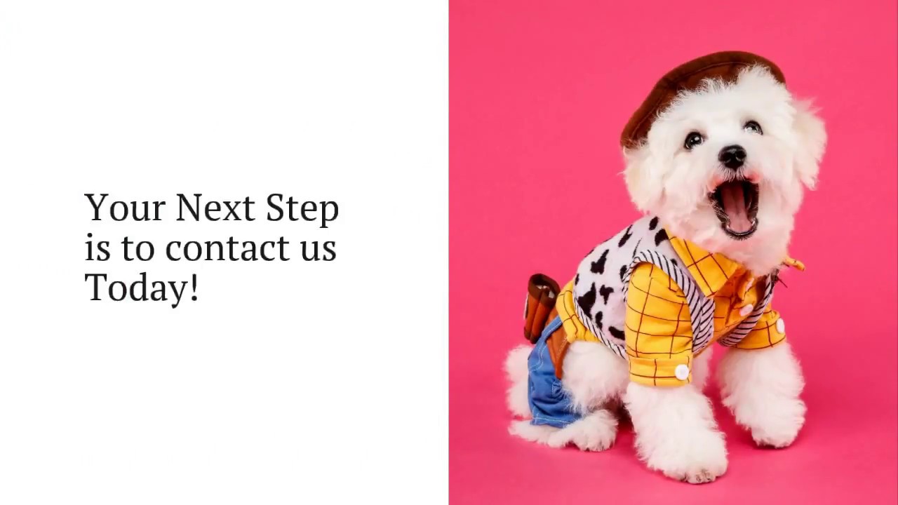 Professional Carpet Cleaning Service in Kapolei HI The Carpet