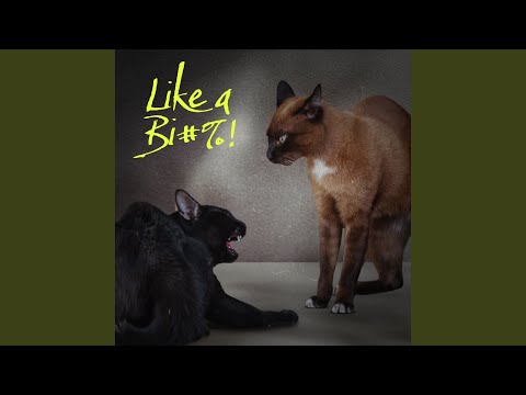 Like a Bi#%!