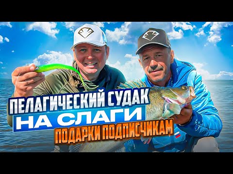 СПИННИНГ В ДУГУ ОТ ЗЛЫХ ПОКЛЁВОК! Пелагический судак жрёт слаги взаглот!