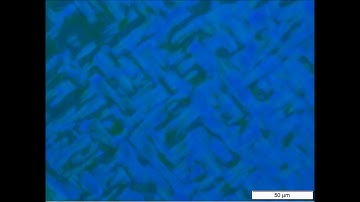 Blue Phase Transition (PNAS 2017)