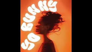 Download lagu Prodbycpkshawn ft.Ugly Andz - Yo Bunny (Clean Radio Edit)