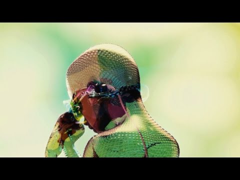 Motion Graphics - Lense (Official Video)