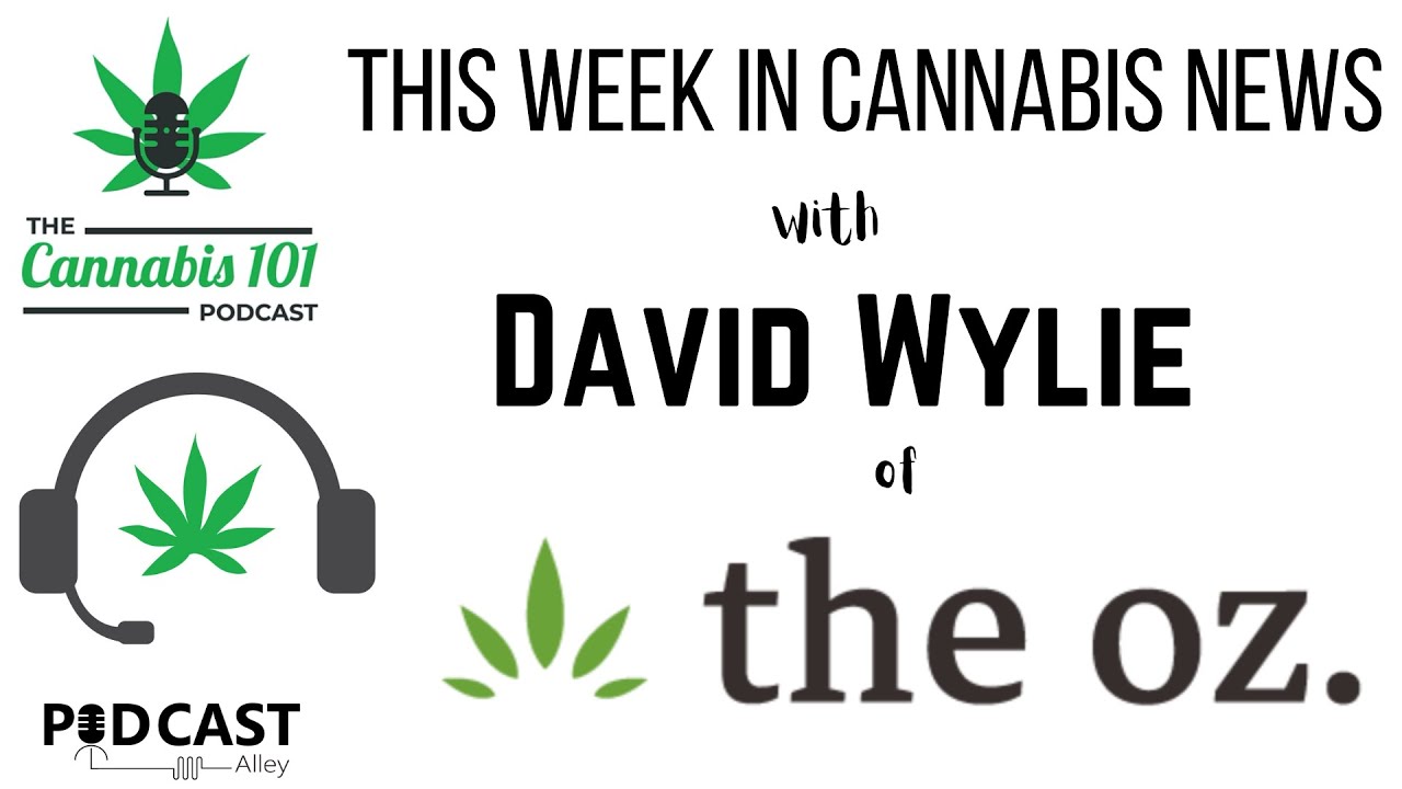 This Week in Cannabis News with David Wylie of The oz from episode 80 of The Cannabis 101 Podcast