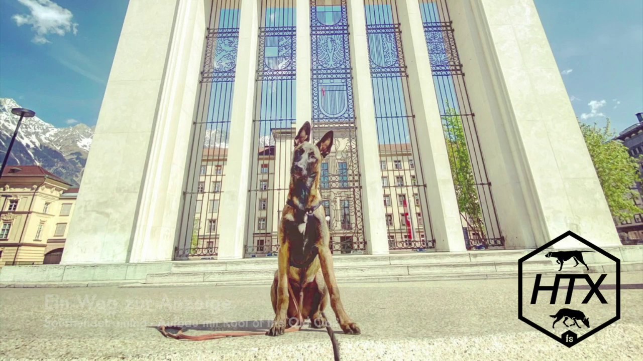 Spürhund - Aufbau Anzeige