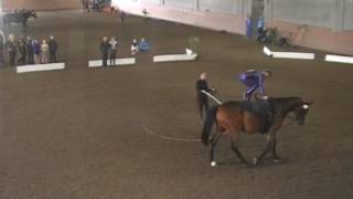 High Kick Kara Stelfox Freestyle Round 1 Vaultcanada Individual Walk C 10 And Older 2016 A