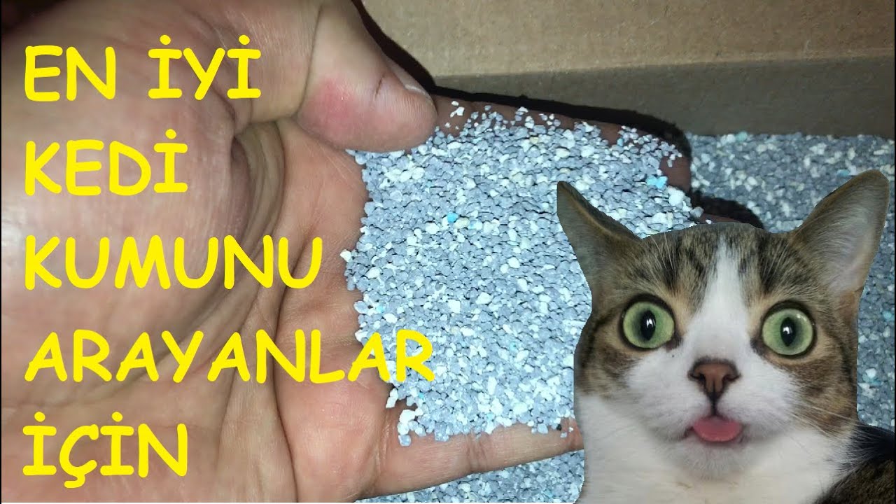 Aktif Karbonlu Kedi Kumu Testi Micho En Iyisini Arayanlar Icin Youtube