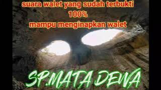 suara walet || SP.MATA DEWA