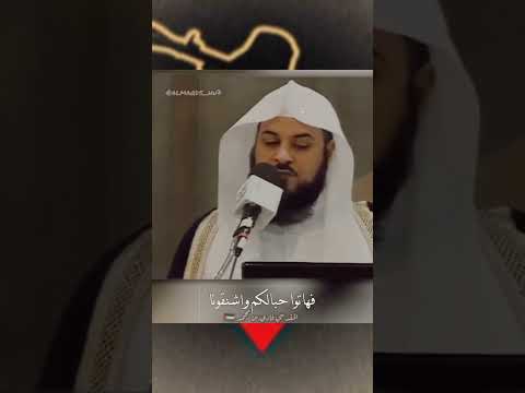 يا رجالات غزة الشيخ د محمد العريفي