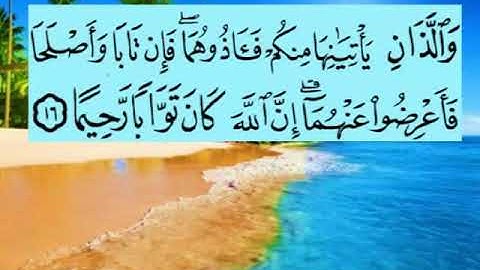 سورة النساء اية ١٦ جمال القرش