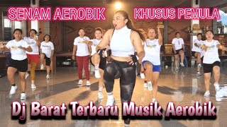 Senam aerobik Dj Barat Terbaru musik Aerobik | Khusus pemula Next Level @LiaMarliaChannel