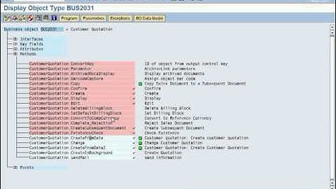 SAP BUSINESS OBJECT OVERVIEW