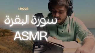 سورة البقرة / اي اس ام ار همس / Asmr arabic Qur'aan reading #asmr #asmrwhisper #whisper