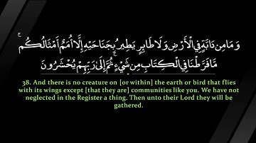 Surah An'am _ Nasser al Qatami سورة الأنعام _ ناصر القطامي