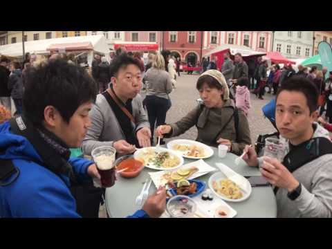 【チェコ旅】みんなが知らないチェコの地方都市の旅 #チェコへ行こう【動画】