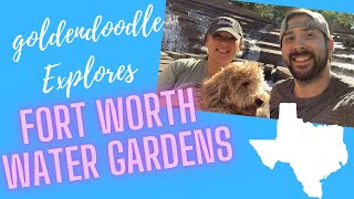 Downtown Fort Worth Texas with our Mini Goldendoodle Puppy Luna by Jennifer Volek 434 views 2 years ago 10 minutes, 54 seconds