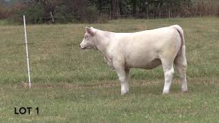 Lot 1- Fall Colors 2025