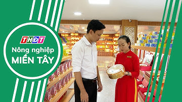 Toàn cảnh Nông nghiệp - 15/11/2025 | Nông nghiệp Miền Tây