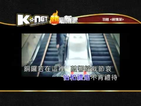 銅情深 - 羽翹 ( K-Net 熱唱新歌 )