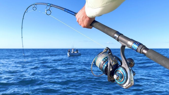 SALTIST MQ Spinning Series - Saltwater Reel : : Sports & Outdoors