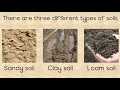 SOIL - Different types and the importance of Soil