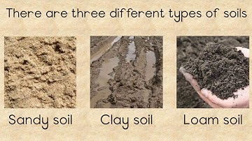 SOIL - Different types and the importance of Soil