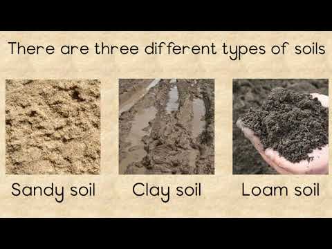 토양-다양한 유형과 토양의 중요성