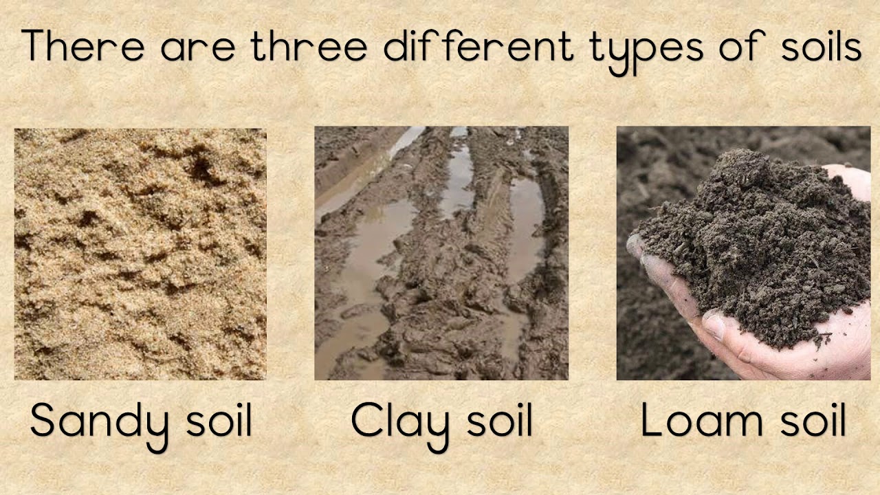 What Is The Advantage Of Sandy Soil?