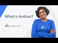 What is anthos