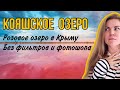 КОЯШСКОЕ  ОЗЕРО Розовое озеро в Крыму .Без фильтров и фотошопа. Как добраться и купить билеты.