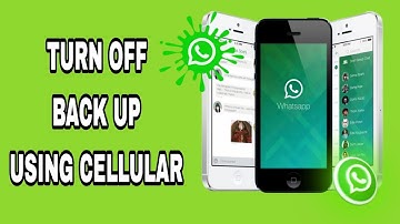 How To Turn Off Back Up Using Cellular On WhatsApp App