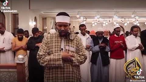 القارئ نعمان بشير