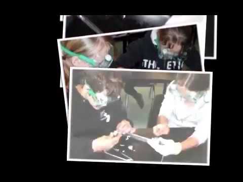 Cow Eye Dissection - Mrs. Baucom's Science Class