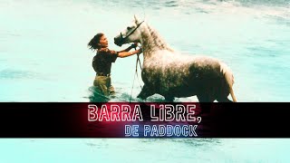 Manás de la Hoz - El paraíso que nos descubrió M. Ángeles Bravo