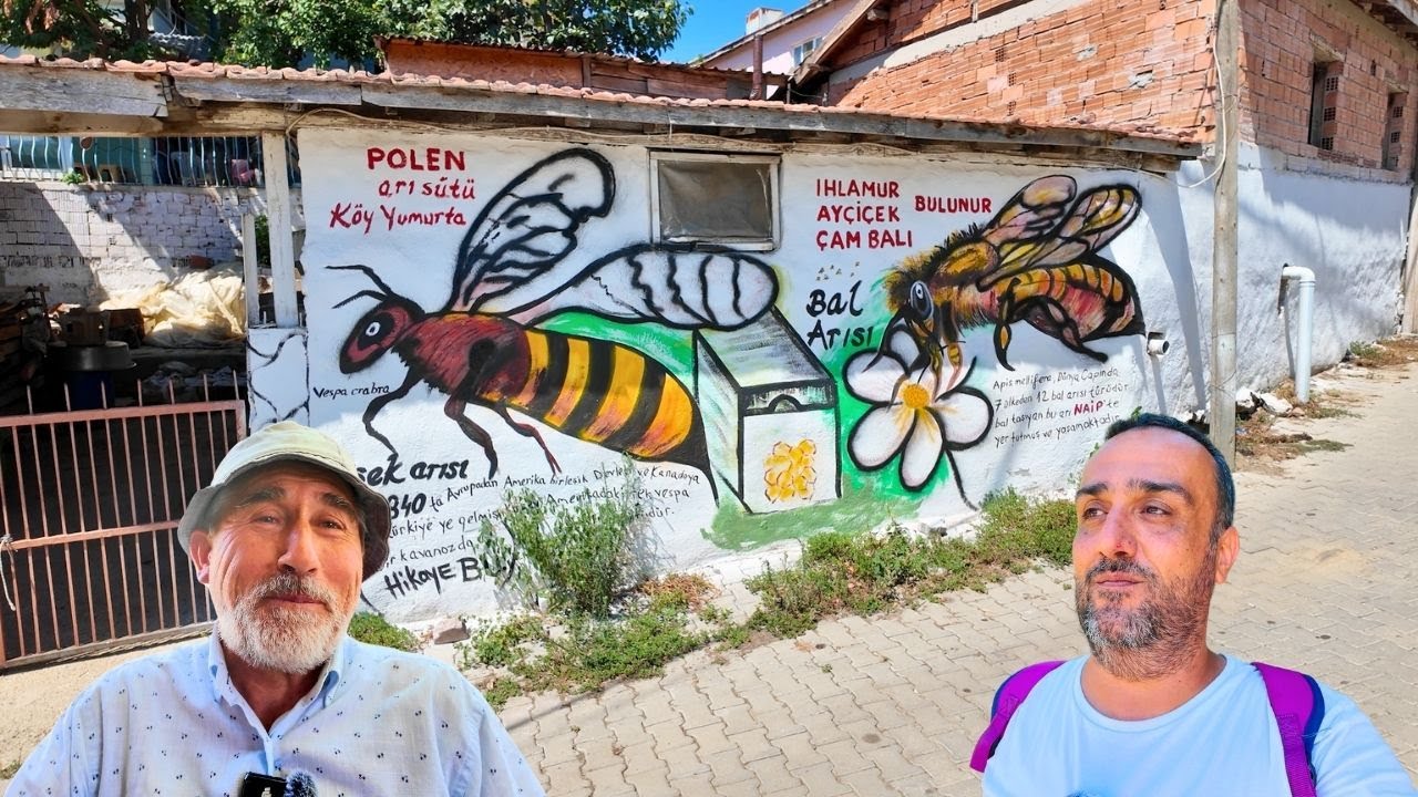 Tekirdağ Naipköy | Köy Çizgi Film Gibi, Çocuğunuzla İzlerseniz Buraya Gitmek Zorunda Kalırsınız !!