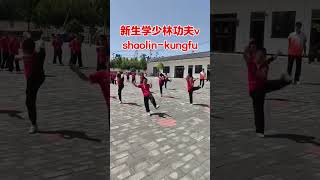 Basic training in traditional Shaolin Kung Fu  #kungfu #wushufight #china #martialarts  #performence