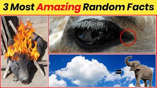 OMG! Top 3 Most Interesting Facts 🤯 | #shorts #TheFact