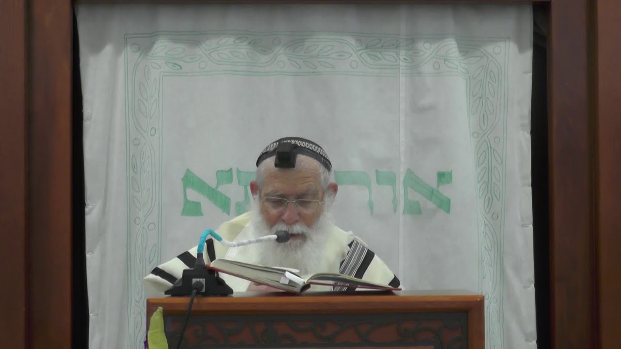 החייבים בקריאת מגילה ומי שאין באפשרותו להשיג מגילה לפורים | הרב אליקים לבנון | הלכות פורים תשפ"א | 7