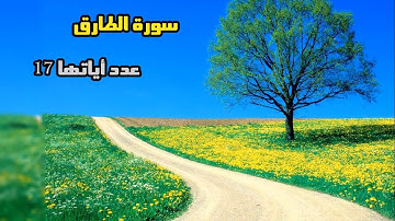 سورة الطارق - عدد آياتها 17 - بصوت المقرئ ياسر الدوسري - Sourah ALTariq