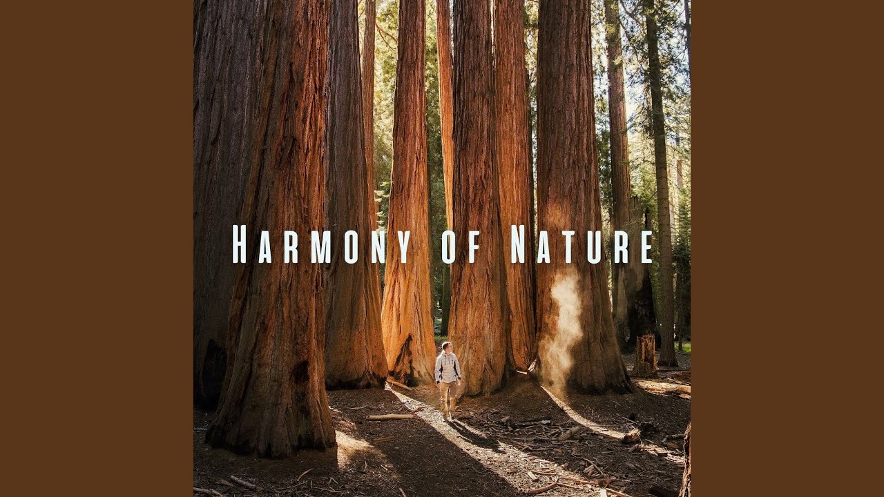 Watch Natural Nostalgia Notes on YouTube Watch Natural Nostalgia Notes on YouTube