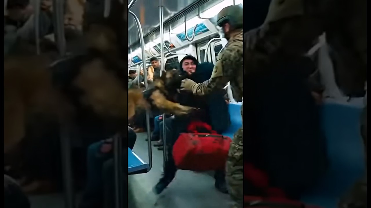 K9 Saves The Commute! Watch The High-Speed Mission. 