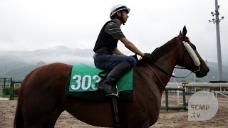 Able friend has taken hong kong racing by storm this season, winning
six straight races and being crowned the equal top-rated horse in
world. on june 16 ...